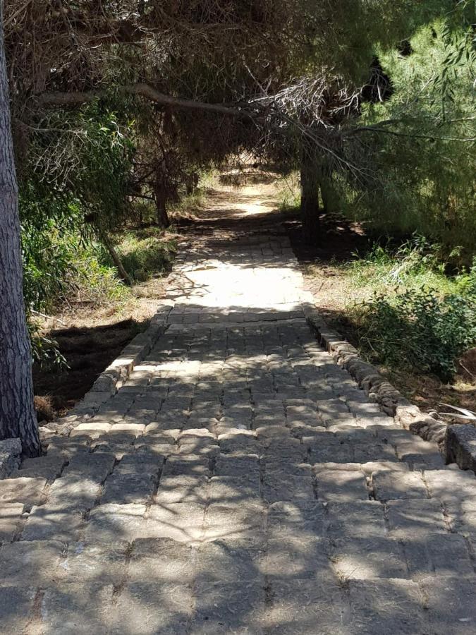 B&B Le Dune Beach San Leone Εξωτερικό φωτογραφία