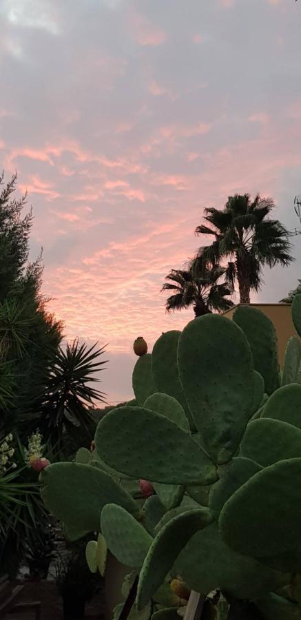 B&B Le Dune Beach San Leone Εξωτερικό φωτογραφία