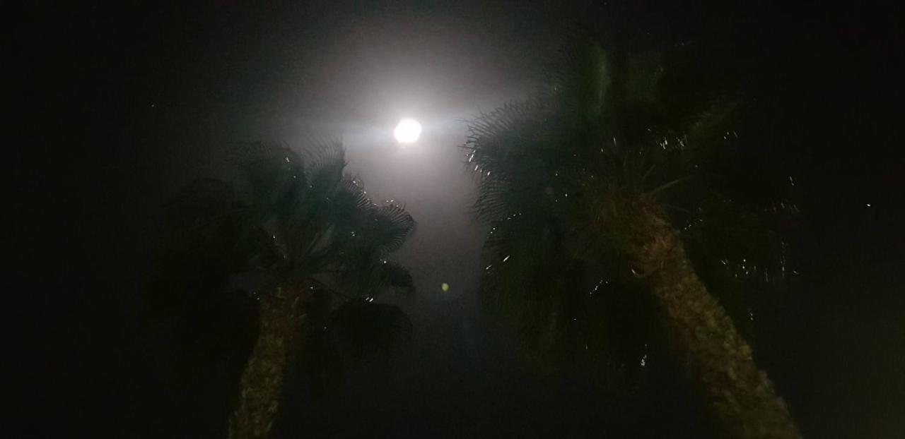 B&B Le Dune Beach San Leone Εξωτερικό φωτογραφία
